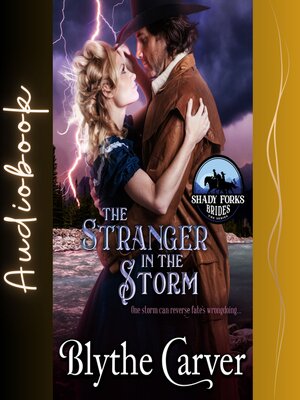 cover image of The Stranger in the Storm